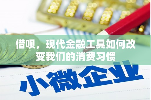 台南借呗，现代金融工具如何改变我们的消费习惯
