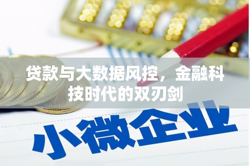 台南贷款与大数据风控，金融科技时代的双刃剑