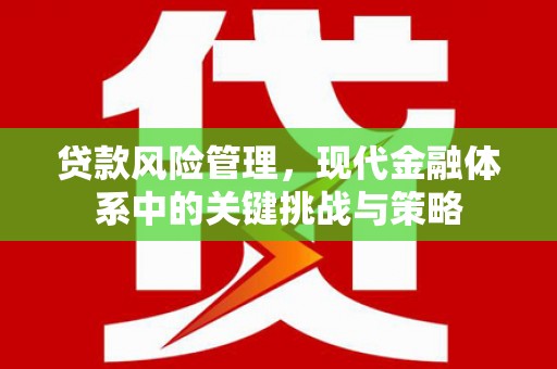 台南贷款风险管理，现代金融体系中的关键挑战与策略