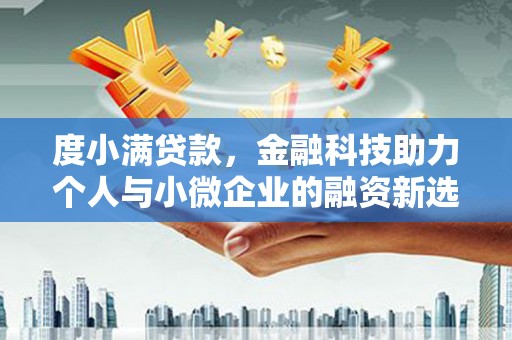 台南度小满贷款，金融科技助力个人与小微企业的融资新选择