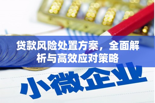 台南贷款风险处置方案，全面解析与高效应对策略
