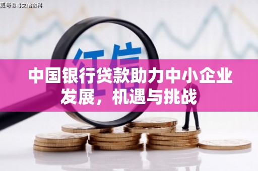 台南中国银行贷款助力中小企业发展，机遇与挑战