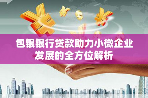 台南包银银行贷款助力小微企业发展的全方位解析