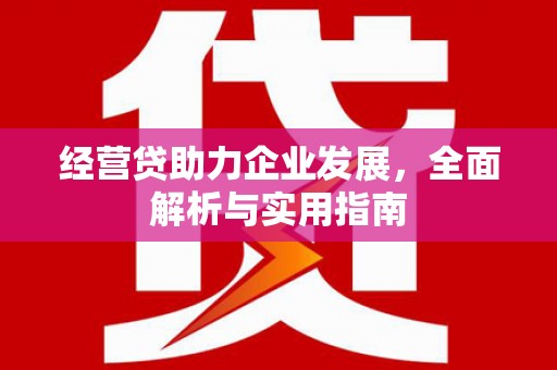 台南经营贷助力企业发展，全面解析与实用指南