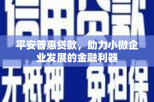 台南平安普惠贷款，助力小微企业发展的金融利器