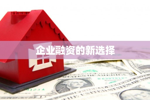 台南企业融资的新选择