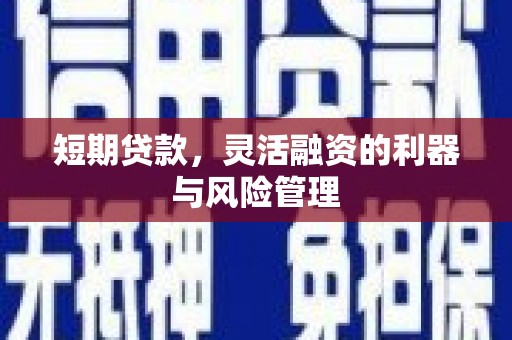 台南短期贷款，灵活融资的利器与风险管理