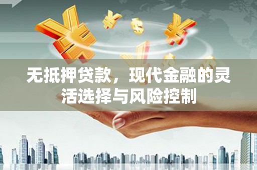 台南无抵押贷款，现代金融的灵活选择与风险控制