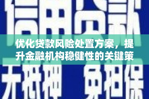 台南优化贷款风险处置方案，提升金融机构稳健性的关键策略