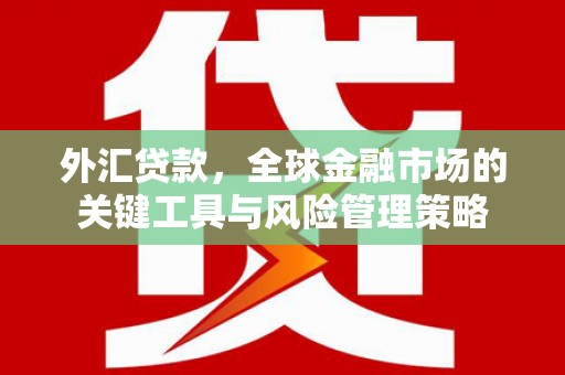 台南外汇贷款，全球金融市场的关键工具与风险管理策略