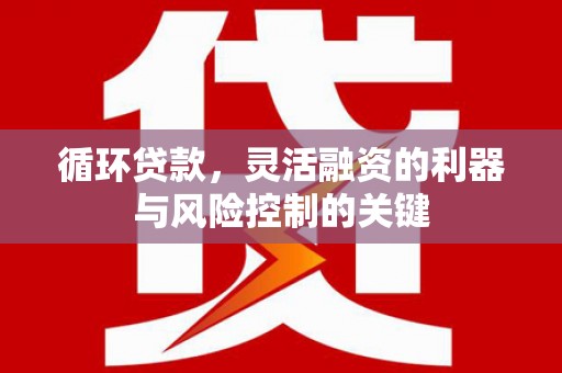 台南循环贷款，灵活融资的利器与风险控制的关键