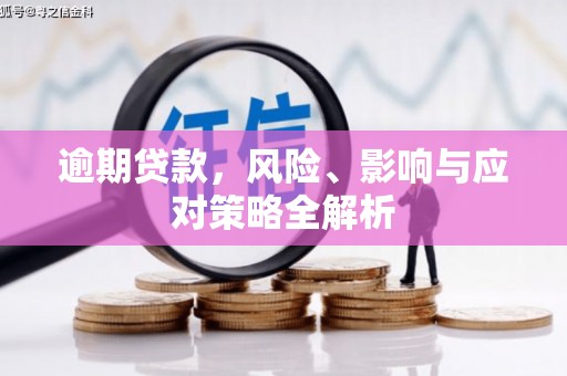 台南逾期贷款，风险、影响与应对策略全解析