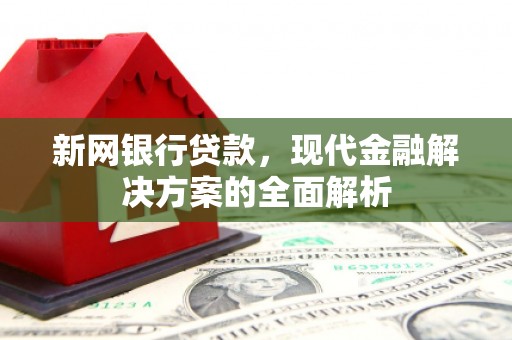 台南新网银行贷款，现代金融解决方案的全面解析