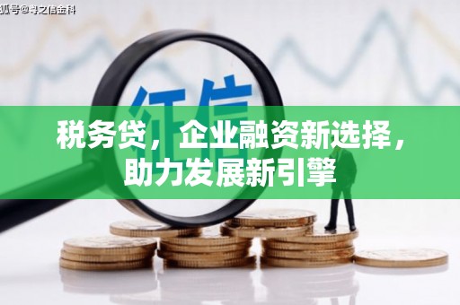 台南税务贷，企业融资新选择，助力发展新引擎