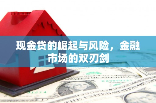 台南现金贷的崛起与风险，金融市场的双刃剑