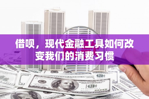 台南借呗，现代金融工具如何改变我们的消费习惯