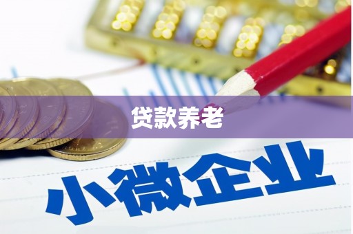 台南贷款养老