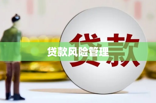 台南贷款风险管理