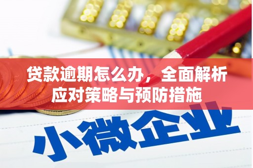 台南贷款逾期怎么办，全面解析应对策略与预防措施
