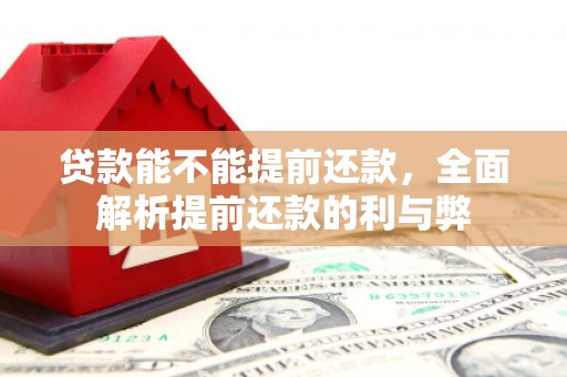 台南贷款能不能提前还款，全面解析提前还款的利与弊