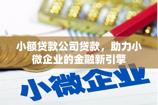 台南小额贷款公司贷款，助力小微企业的金融新引擎
