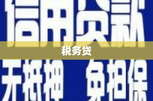 台南税务贷