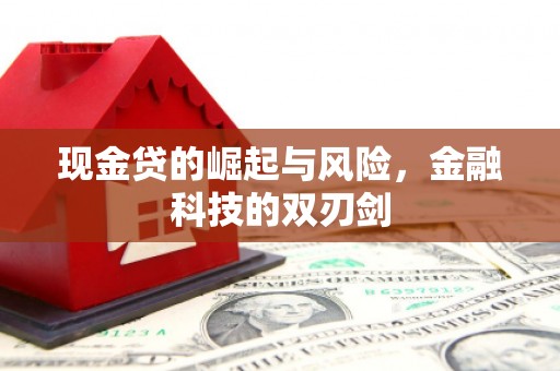 台南现金贷的崛起与风险，金融科技的双刃剑