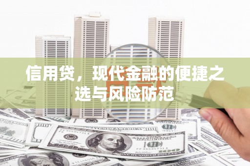 台南信用贷，现代金融的便捷之选与风险防范