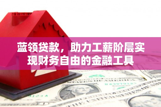 台南蓝领贷款，助力工薪阶层实现财务自由的金融工具