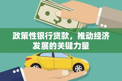 台南政策性银行贷款，推动经济发展的关键力量