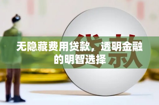 台南无隐藏费用贷款，透明金融的明智选择