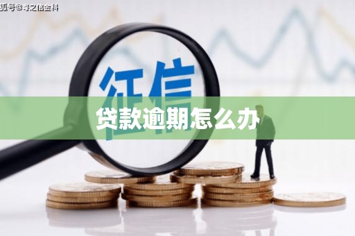 台南贷款逾期怎么办