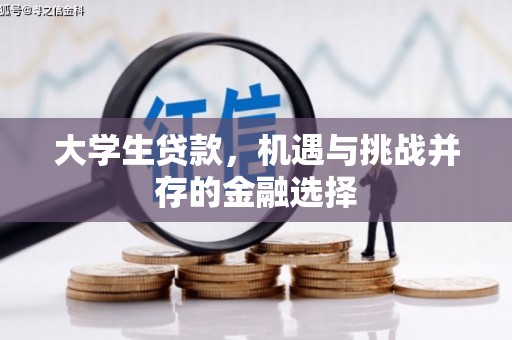 台南大学生贷款，机遇与挑战并存的金融选择