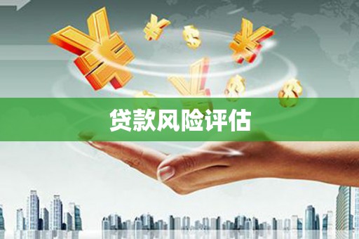 台南贷款风险评估