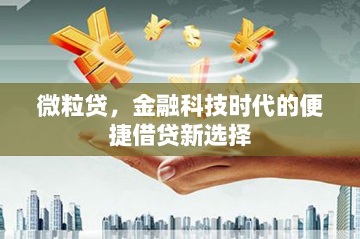 台南微粒贷，金融科技时代的便捷借贷新选择