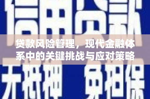 台南贷款风险管理，现代金融体系中的关键挑战与应对策略