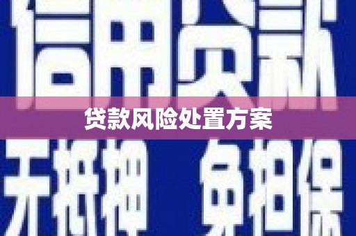 台南贷款风险处置方案