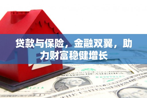 台南贷款与保险，金融双翼，助力财富稳健增长