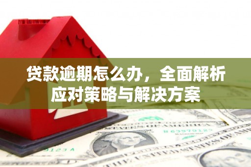台南贷款逾期怎么办，全面解析应对策略与解决方案