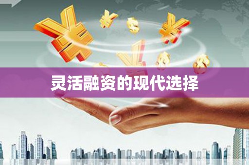 台南灵活融资的现代选择
