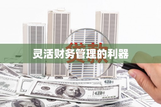 台南灵活财务管理的利器