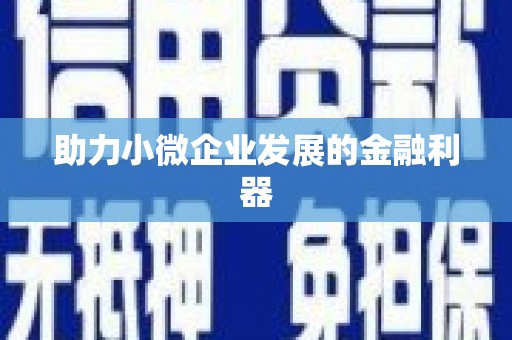 台南助力小微企业发展的金融利器
