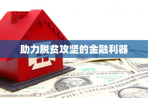 台南助力脱贫攻坚的金融利器