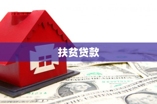 台南扶贫贷款