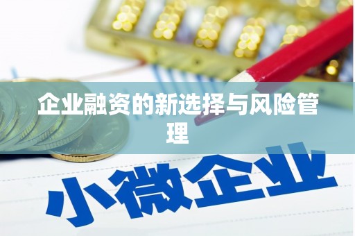 台南企业融资的新选择与风险管理