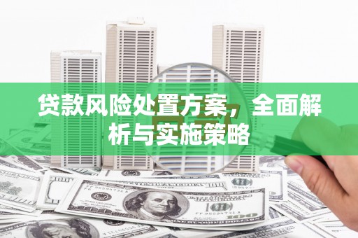 台南贷款风险处置方案，全面解析与实施策略