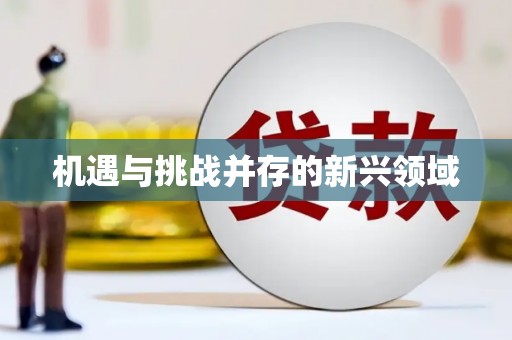 台南机遇与挑战并存的新兴领域