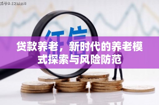 台南贷款养老，新时代的养老模式探索与风险防范