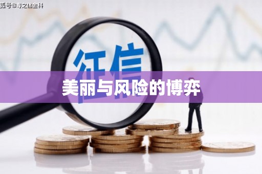 台南美丽与风险的博弈