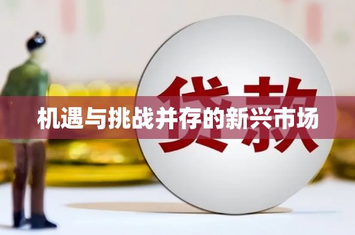 台南机遇与挑战并存的新兴市场